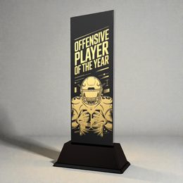 Shadowline American Football Offensive Player of the Year – Stainless Steel Award