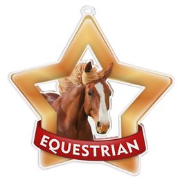 Equestrian Mini Star Bronze Medal