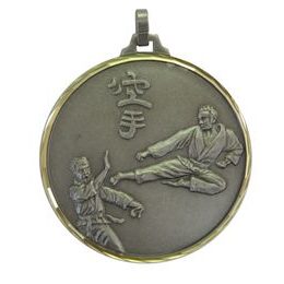 Diamond Edged Taekwondo Sensei Silver Medal