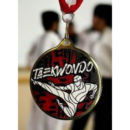 Hercules Texture Print Taekwondo Medal