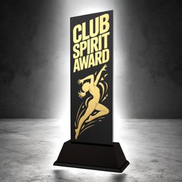 Shadowline Gymnastics Club Spirit Award Trophy – Stainless Steel Award
