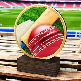 Holt Colour Cricket Real Wood Trophy