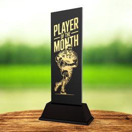 Shadowline Rugby Player of the Month Trophy – Stainless Steel Award