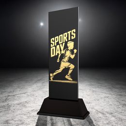 Shadowline School Sports Day Trophy – Stainless Steel Award