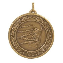 Laurel Swimming Multi Stroke Neptune Bronze Medal