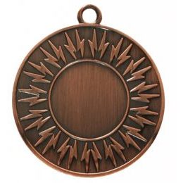 Lightning Logo Insert Bronze Medal