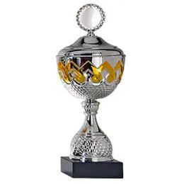 Shanks Silver and Gold Logo Cup
