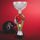 Napoli Gridiron Silver Trophy Cup