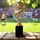 Matthews Football Trophy