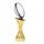 McCaw 3D Heavyweight Rugby Ball Trophy