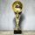 Merida Gold Metal Football Trophy