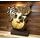 Sierra Classic Acoustic Guitar Real Wood Trophy