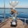 Napoli Fishing Reel Silver Trophy Cup