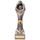 Falcon Netball Player Trophy