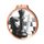 Habitat Chess Bronze Eco Friendly Wooden Medal