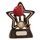 Little Star Cricket Trophy