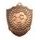 Embossed Football Shield Bronze Medal