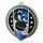 Sentinel Ice Hockey Stainless Steel Medal
