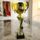 Almena Gold Cup