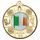 Irish Four Provinces Logo Insert Gold Medal