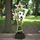 Triple Star Football Trophy