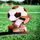 Cannes Classic Football Referee Trophy