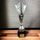 Hays Silver Trophy Cone Stars Cup