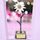 Laza Edelweiss Flower Handmade Metal Trophy