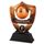 Bronze Parents Player Football Shield Trophy