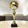 Merida Gold and Silver Metal Football Trophy