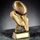 Lions Rugby Boots & Ball Trophy