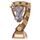 Euphoria Cricket Equipment Trophy