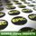 Acrylic Domed Printed 25mm Logo Insert Centres