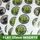 Flat Printed 25mm Logo Insert Centres