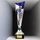 Champions Silver and Blue Metal Football Trophy Cup