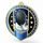 Sentinel Fencing Stainless Steel Medal
