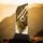 Peak Pistol Shooting Trophy