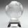 Ultimate Clear Glass Football Trophy