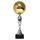 Merida Gold and Silver Volleyball Trophy TL2100