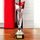 Champions Silver and Red Metal Football Trophy Cup