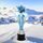 Verbier Snowboarding Snowflake Trophy