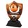 Bronze Top Goal Scorer Football Shield Trophy