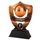 Bronze Clubman Football Shield Trophy