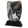 Iceberg Electric Guitar Trophy
