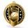 Sentinel Classic Football Stainless Steel Medal