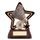 Little Star Badminton Trophy