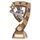 Euphoria Karate Trophy