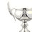 Trophy Cups With Handles