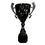 Silver Trophy Cups