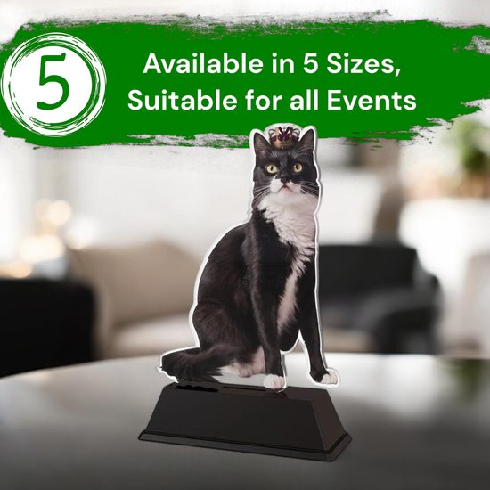 Ostrava Cat Show Trophy